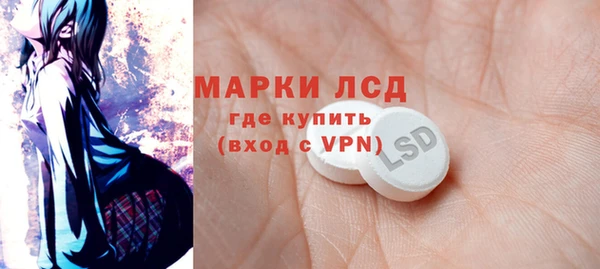 индика Вязьма