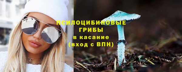 индика Вязьма