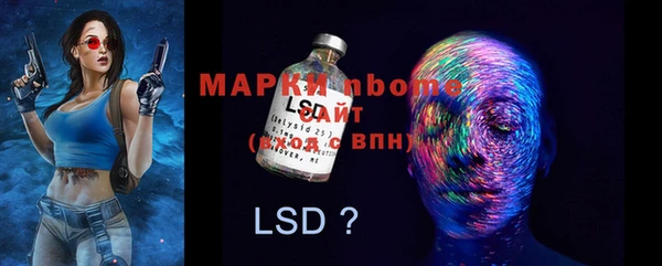 индика Вязьма