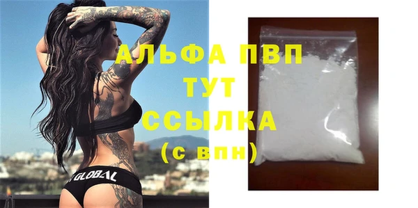 ПСИЛОЦИБИНОВЫЕ ГРИБЫ Вязники