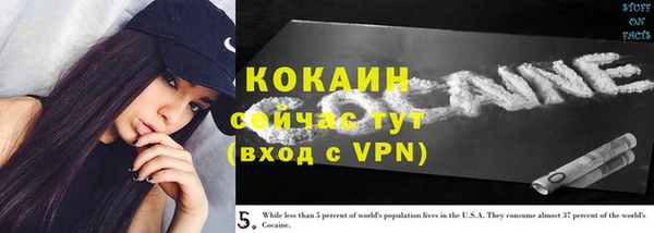 ПСИЛОЦИБИНОВЫЕ ГРИБЫ Вязники