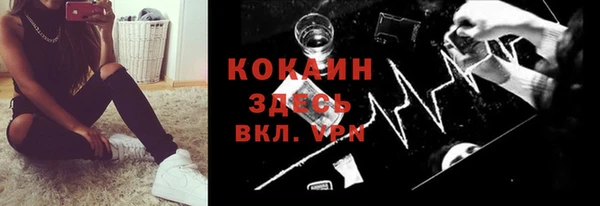 индика Вязьма