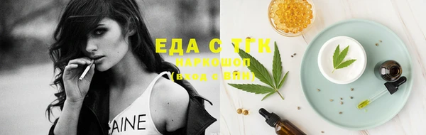 индика Вязьма