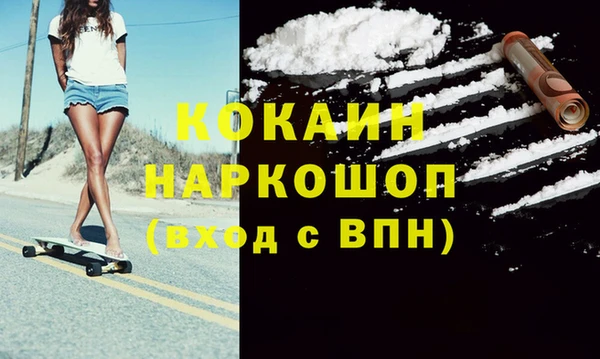 индика Вязьма