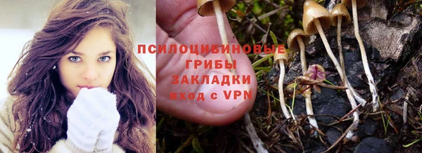 индика Вязьма