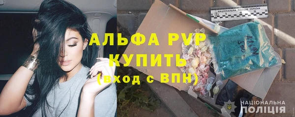 индика Вязьма