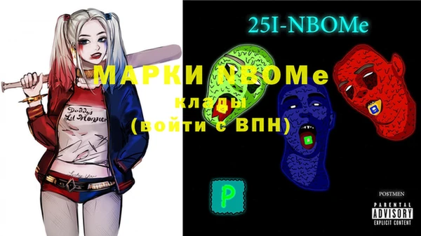 индика Вязьма